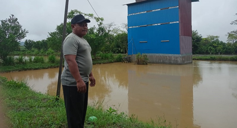 Menengok Dan Mengurai Potensi Budi Daya Bibit Ikan Air Tawar Di Desa